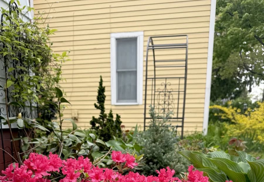 Service Planting Plan selected from Jennica Kassabian's plant and garden photography.